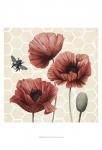 Poppy Buzz I