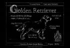 Blueprint Golden Retriever