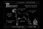 Blueprint Boxer
