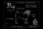 Blueprint Pug