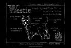 Blueprint Westie