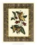 Leather Framed Butterflies I