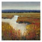 Marsh Land I