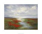 Red Poppy Field