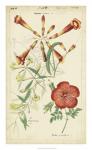 Spring Blooms I
