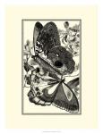 B&W Butterfly IV