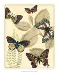 Graphic Butterflies in Nature I