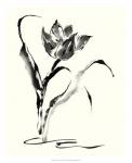 Studies in Ink - Tulip