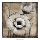 Neutral Poppies I