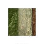 Earthen Textures II