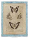 Bookplate Butterflies II