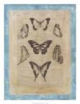 Bookplate Butterflies III