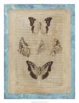 Bookplate Butterflies IV