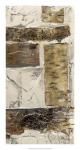 Birch Bark Abstract II