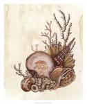 Baroque Nautilus I