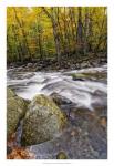 Roaring Waters I