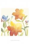 Aquarelle Floral I