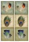 2-Up Feather Triptych I