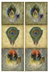 2-Up Feather Triptych II