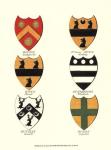 Coat of Arms II