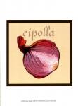 Italian Vegetable VI