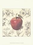 Apple and Botanicals