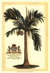 British Colonial Palm I