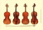Antique Violins I