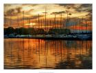 Marina Sunrise III