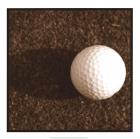 Sepia Golf Ball Study IV