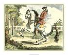 Equestrian Training II