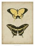 Antique Butterfly Pair I