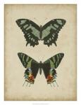 Antique Butterfly Pair II