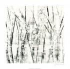 Birches II