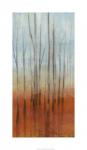 Birch Forest I