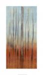 Birch Forest II