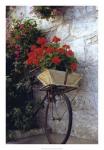 Flower Box Bike