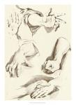 Study of Hands