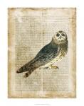 Antiquarian Birds I