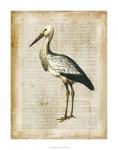 Antiquarian Birds II