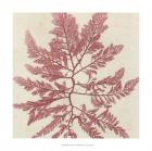 Brilliant Seaweed I