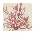 Brilliant Seaweed IX