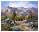 Catalina Mountain Foothills