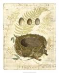 Melodic Nest & Eggs I