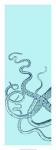Octopus Triptych I