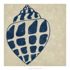Indigo Shell I