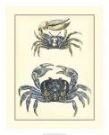 Antique Blue Crabs II