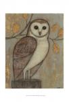 Ornate Owl I