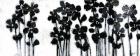 Black Flowers on White I