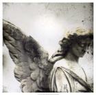 New Orleans Angel I
